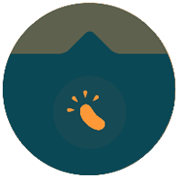 Survival Portuguese